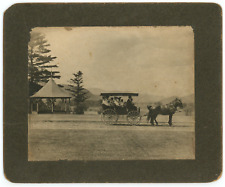 CIRCA 1880'S RARE CABINET CARD Pavilion Group of Men & Women In Horse & Buggy picture