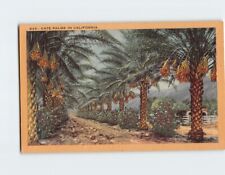 Postcard Date Palms in California USA picture