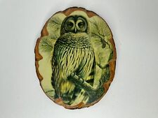 Vintage Owl Wood Wall Hanging Art Plaque Halloween 8” H X 6.5” W picture