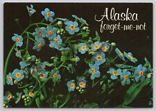 Beautiful Forget Me Not Flowers, Alaska State Flower, Vintage Postcard picture