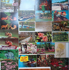 25 Antique Vintage Postcards: Flora Fauna Flowers Birds Animals Nature Lot 1 picture