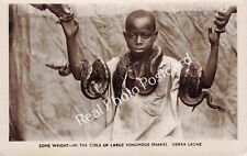 RPPC Young Boy Holds Large Venomous Snakes Sierra Leone West Africa Postcard picture