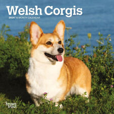 Browntrout Welsh Corgis 2024 7 x 7 Mini Calendar w picture