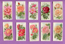 1912 W.D. & H.O. WILL'S CIGARETTES ROSES SERIES 1 COLLECTOR 10 CARD LOT picture