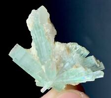 24 Carat Tourmaline crystal Specimen  from Afghanistan picture