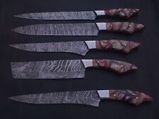 5 PCS HAND MADE DAMASCUS STEEL CHEF KNIFE SET RESIN HANDLE W/SHEATH A112 picture