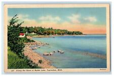 c1940s Along The Shore of Mullet Lake, Topinabee Michigan MI Vintage Postcard picture