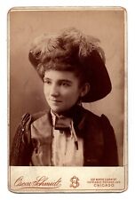 CIRCA 1890s CABINET CARD OSCAR SCHMIDT GORGEOUS YOUNG LADY CHICAGO ILLINOIS picture