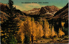 Vtg 1930's Montezuma Mountain Aspen Colorado CO Linen Postcard picture