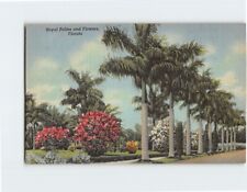Postcard Royal Palms and Flowers Florida USA picture