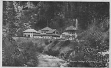 Shasta Springs CA California Cottages Creek Photo Postcard picture
