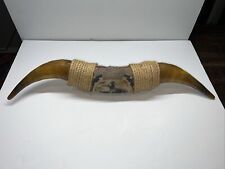 Vintage 27” Souvenir Mounted Bull Real Horns - Greatest Show On Dirt picture