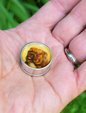 Premier Quality Sterling Silver Mini Pill Box - Handsome Enamel Bulldog Portrait picture