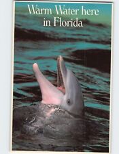 Postcard Warm Water Here in Florida USA picture