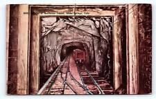 IDAHO SPRINGS, CO Colorado ~ NEWHOUSE MINE TUNNEL  c1910s Postcard picture