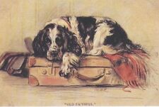 English Springer Spaniel - CUSTOM MATTED - Dog Art Print - Lucy Dawson NEW picture