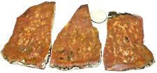 3 Awesome & Unusual Jaspers Great Cabs Total 7.3 ounces 1st Picture Wet #2360 picture