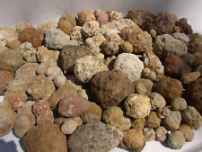 Kentucky Geode Lot by Pound 2-14 lb Unopened Rare Variety Box | Unique Gift picture