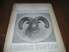 1882 Art Print Engraving / Article - American MOUNTAIN SHEEP Hunting BIG HORN picture