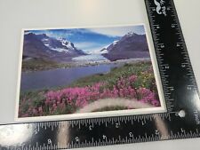 Athabasca Glacier - The Columbia Icefields Alberta Canada - postcard-  picture