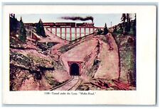 c1920 Tunnel Under The Loop Railroad Logs Cliff Moffat Road Colorado CO Postcard picture