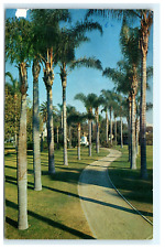 1962 City Park Anaheim CA California Postcard View - Damaged picture