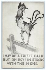 c1905 Chicken Hen I May Be A Trifle Bald But I'm Strong With The Hens Postcard picture