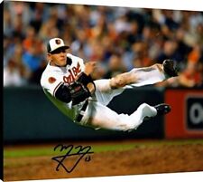 Manny Machado Floating Canvas Wall Art - Diving Throw picture