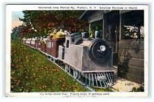 1924 Cecilwood Vest Pocket Railroad Fishkill NY New York Postcard picture