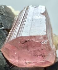 187 Carats Ultra Rare Eye Clean Pink Tourmaline Huge Crystal On Quartz @AFG picture