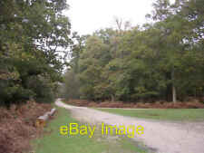 Photo 6x4 Forest cycle path on the edge of Whitley Wood, New Forest Balme c2005 picture
