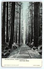 ELBE WA Washington ~ Railroad Avenue TACOMA & EASTERN RAILROAD 1907  Postcard picture