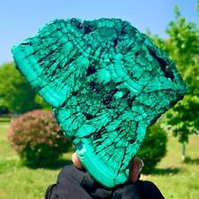 1.29LB  Natural Malachite transparent cluster coarse mineral sample picture