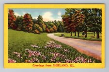 Shirland IL-Illinois, Scenic Greetings Road, Flowers Vintage Souvenir Postcard picture