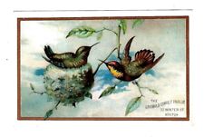 c1880's Trade Card Madame Griswold Corset Parlor, Boston, Robins Nesting picture