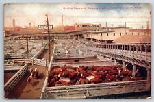 Union Stock Yards Cattle Pens Chicago Illinois IL c1918 Printed Postcard picture