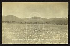 Early RPPC of Poppy Fields. Scott Valley, California. C 1910 Santa Cruz County picture