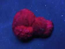 KB:  BRIGHT TN SIZE SW FL. RED OLMIITE XLS., N'Chwaning Mines, SOUTH AFRICA picture
