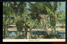 Early Banana Trees Hawaiian Islands Vintage Postcard South Seas Pub. picture