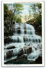 c1910s Thousand Cascades Chimney Rock Country Western NC, Waterfall Postcard picture