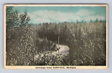 Norvell MI-Michigan, Scenic General Greetings, Antique, Vintage c1921 Postcard picture