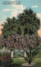 Postcard FL Tall Palms Entwined Bougainvillea Vine Posted 1915 Vintage PC J3833 picture
