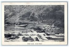 c1960s Trout Glen Ha Ha Tonka Camdenton County Missouri MO Unposted Postcard picture