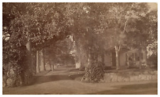 USA, Lexington, House Vintage Albumen Print Albumin Print 12x19.5 1888 picture