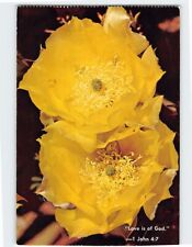 Postcard Prickly Pear Cactus Flower Voice of Prophecy Los Angeles California USA picture