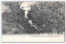 1909 Pretty Road Scene Near East Windham Catskill Mountain New York NY Postcard picture