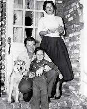 Audie Murphy 1950's at home with his wife son & dog 8x10 inch photo picture