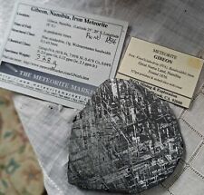 328 GM ETCHED GIBEON IRON METEORITE COMPLET SLICE MUSEUM  GRADE   NAMIBIA AFRICA picture