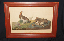 Antique Solid Mahogany Frame Plate 191 Willow Grous Audubon Early Lithograph picture