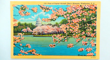 Cherry Blossoms Washington D. C. Postcard Vintage Linen Unused Capital Flower picture